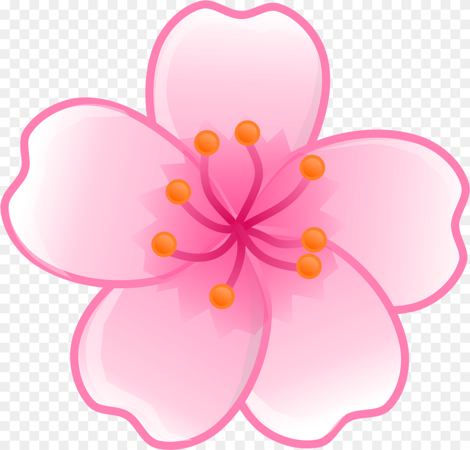 Flower Cherry Blossom Clipart, Plant, Petal, Cherry Blossom Png Image
