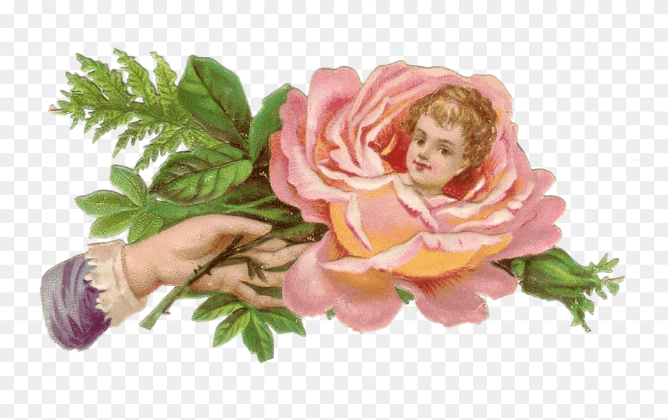 Flower Child Victorian Hand, Art, Plant, Painting, Rose Free Png Download