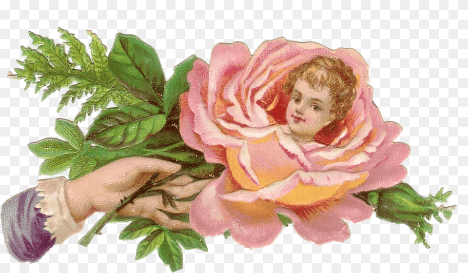 Flower Child Victorian Hand Victorian Hand Holding Flowers, Rose, Plant, Painting, Art Free Png Download