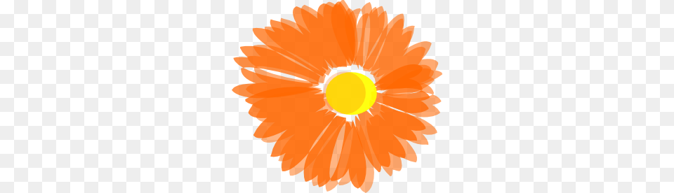 Flower Clip Art, Daisy, Petal, Plant, Dahlia Png