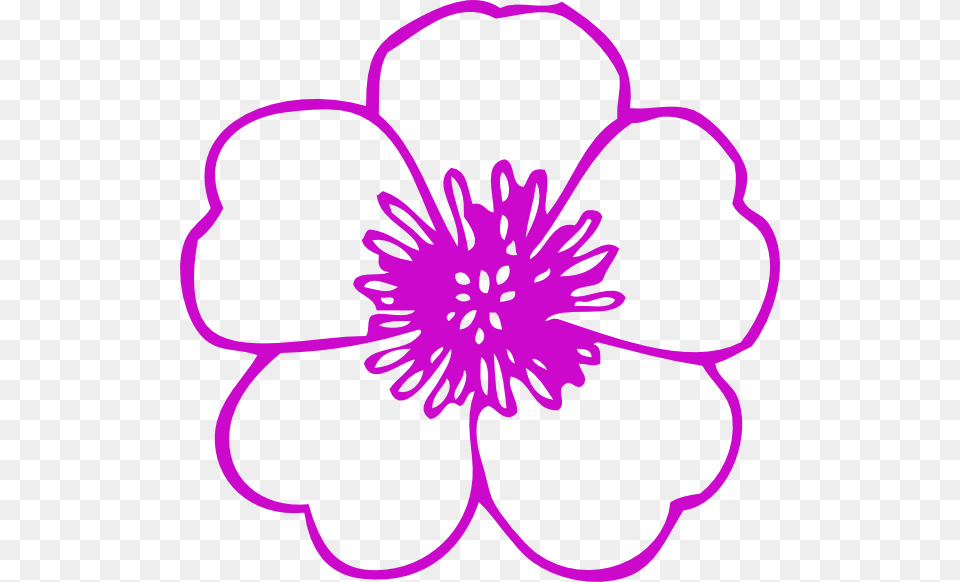 Flower Clip Art, Anemone, Anther, Dahlia, Plant Png Image