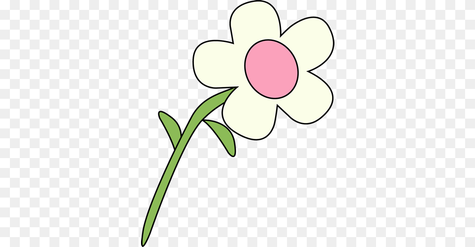 Flower Clip Art, Anemone, Daisy, Plant, Petal Free Png