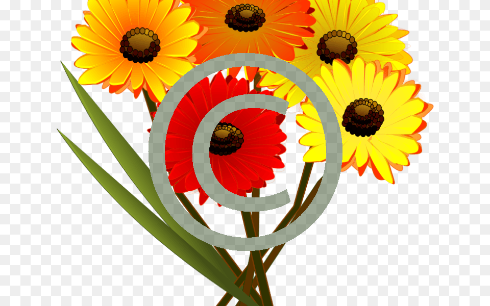 Flower Clip Art, Daisy, Plant, Petal, Chandelier Png