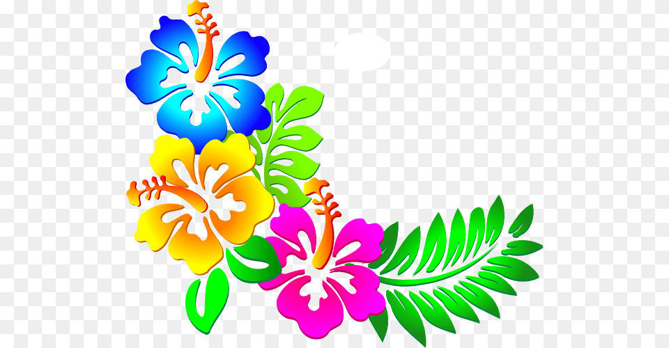 Flower Clip Art, Plant, Graphics, Hibiscus, Floral Design Png Image