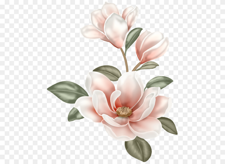 Flower Clip Art Boho Magnolia Flower, Petal, Plant, Anemone, Anther Free Png Download
