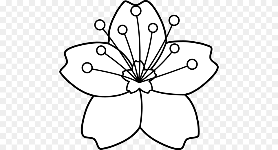 Flower Clip Art Outline, Anemone, Anther, Plant, Petal Png Image