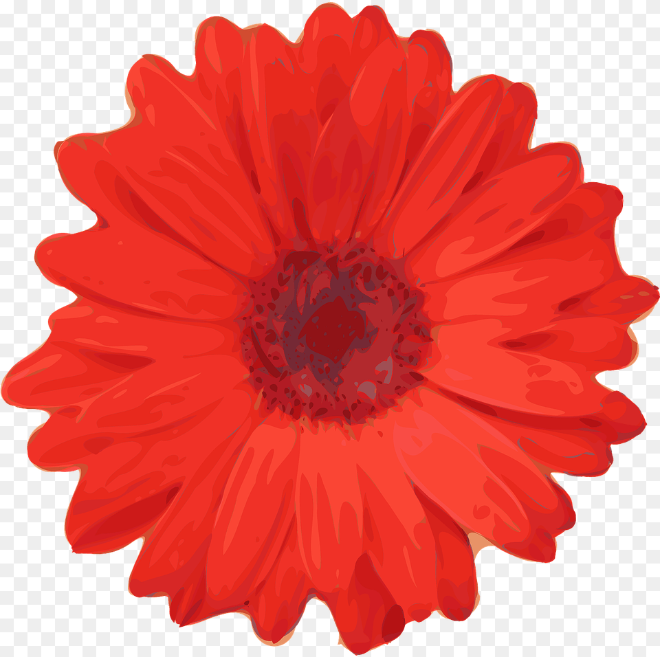 Flower Clip Art Realistic, Daisy, Petal, Plant, Dahlia Png Image