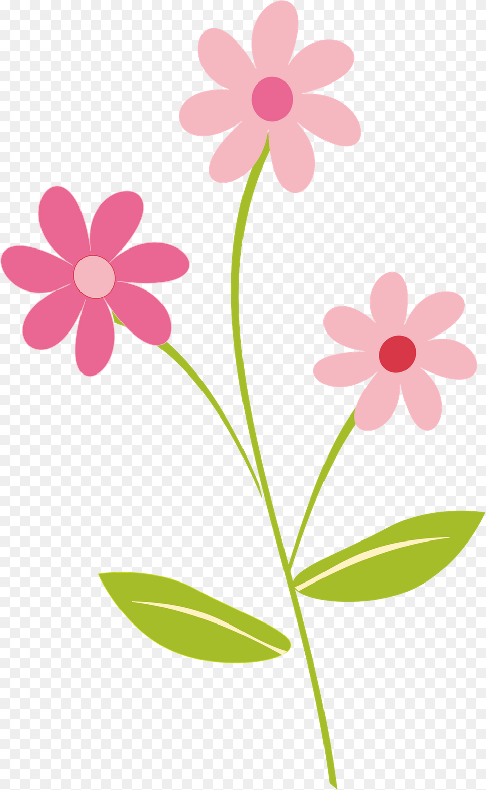 Flower Clip Art Spring, Daisy, Plant, Petal, Geranium Png Image