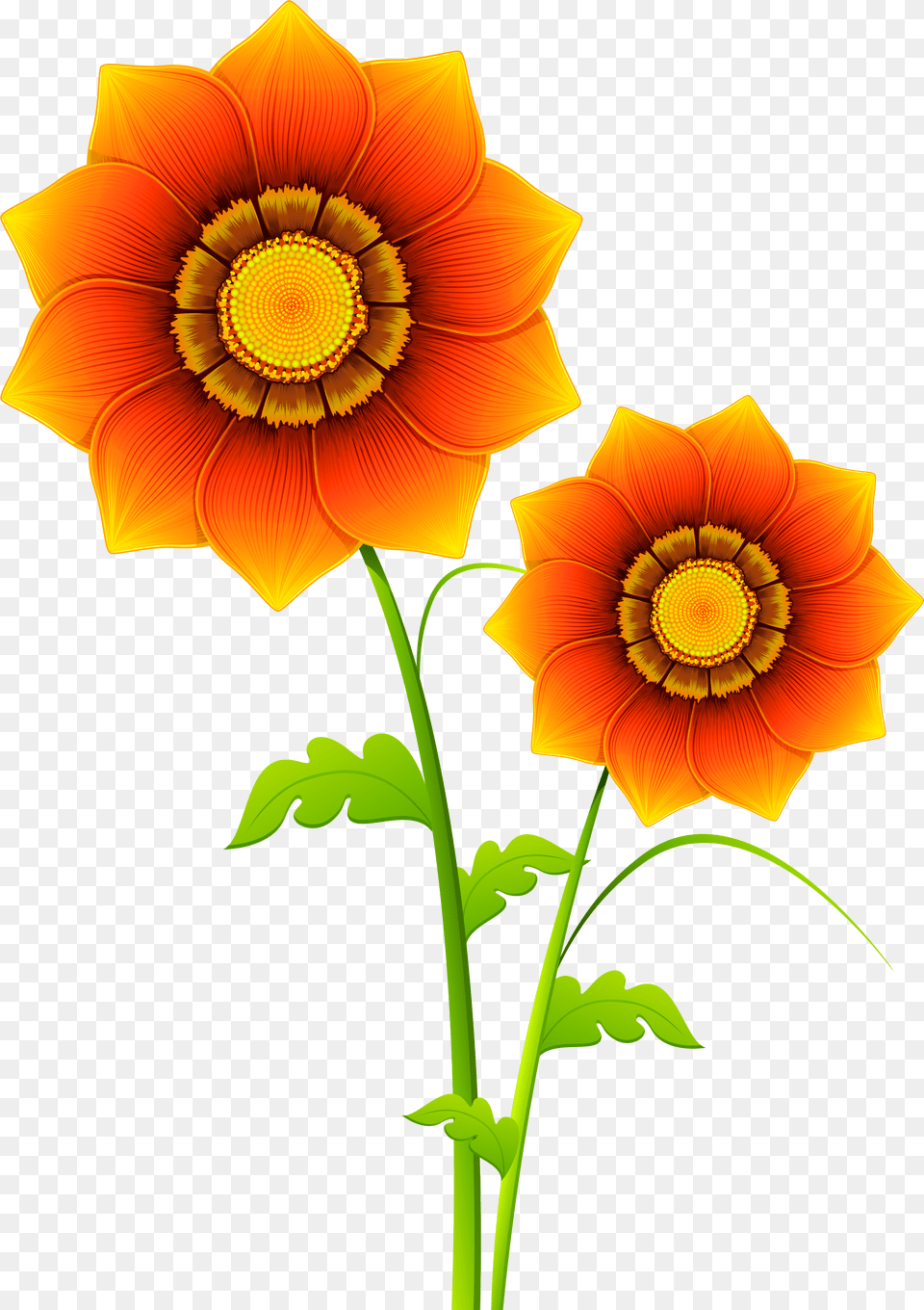 Flower Clip Art Transparent Flower Pictures Clip Art No Background Png