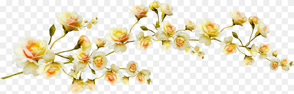 Flower Clip Art Yellow Flowers Aesthetic, Petal, Plant, Rose, Flower Arrangement Free Png