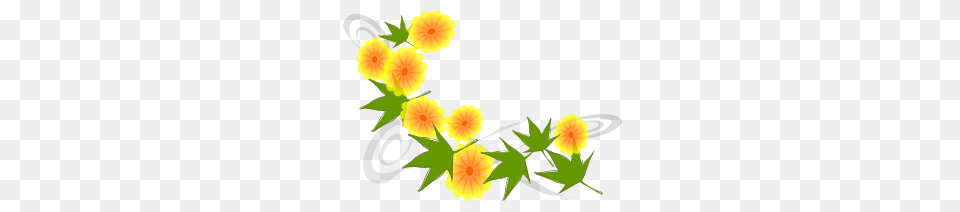 Flower Clip Arts, Petal, Plant, Leaf, Anemone Free Transparent Png