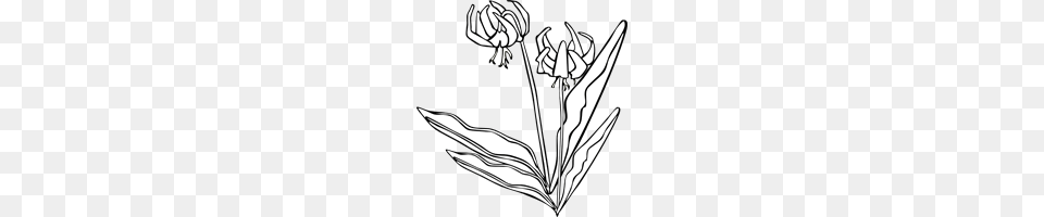 Flower Clip Arts, Plant, Art Png Image