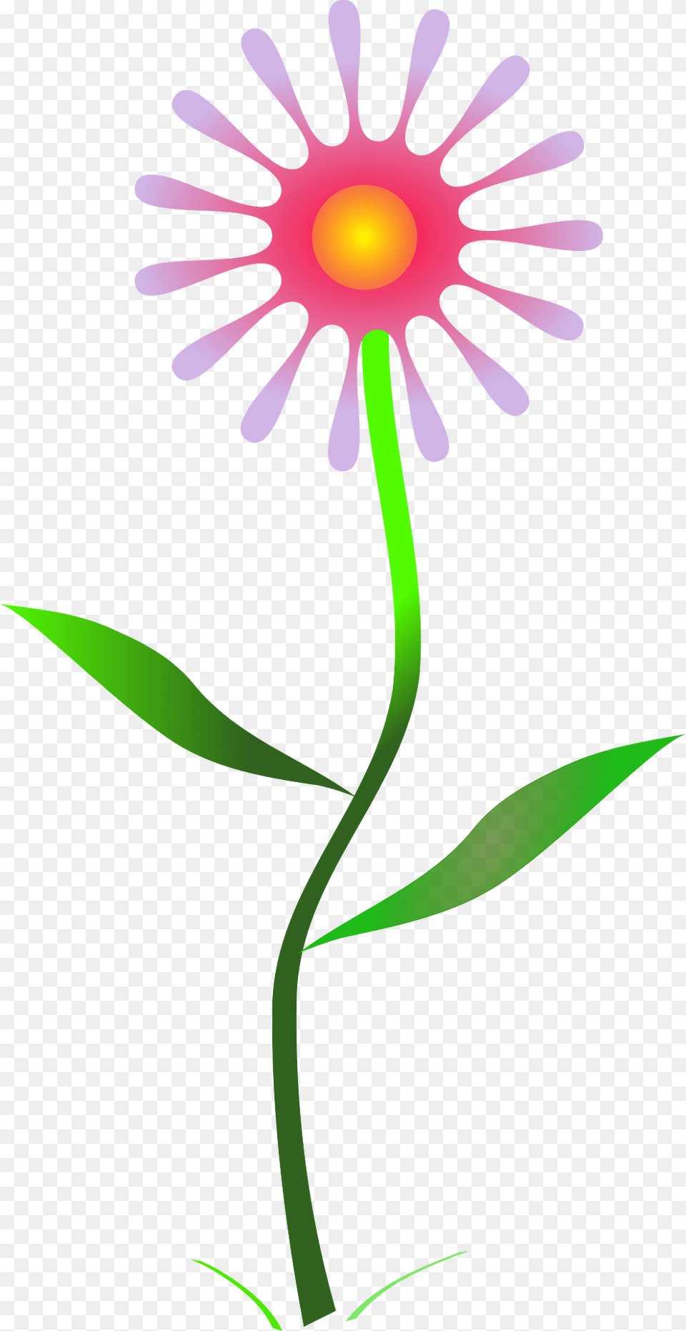 Flower Clipart, Daisy, Plant, Petal Free Png Download