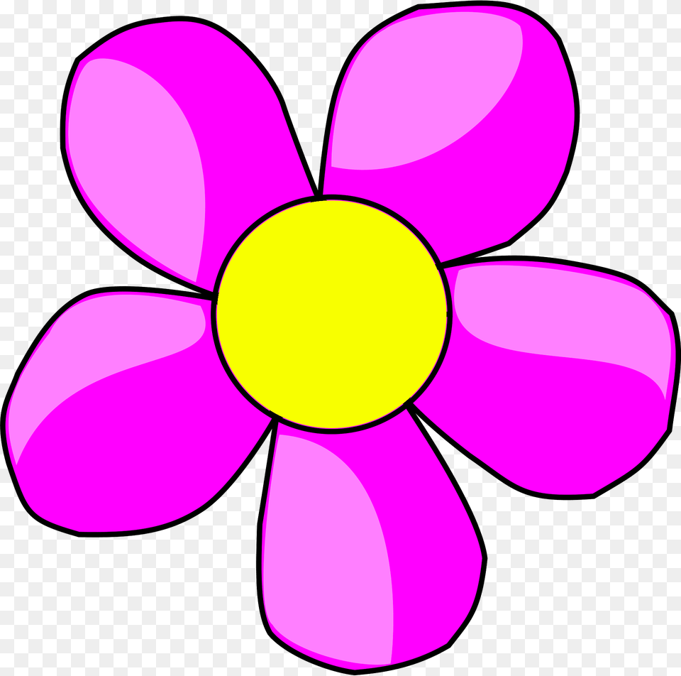 Flower Clipart, Anemone, Daisy, Petal, Plant Png