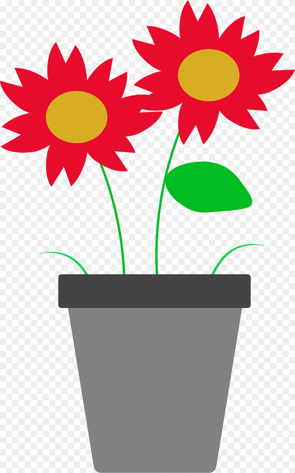 Flower Clipart, Daisy, Potted Plant, Plant, Petal Png Image