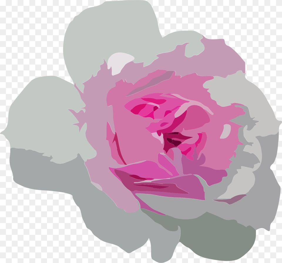 Flower Clipart, Plant, Rose, Petal, Baby Png Image