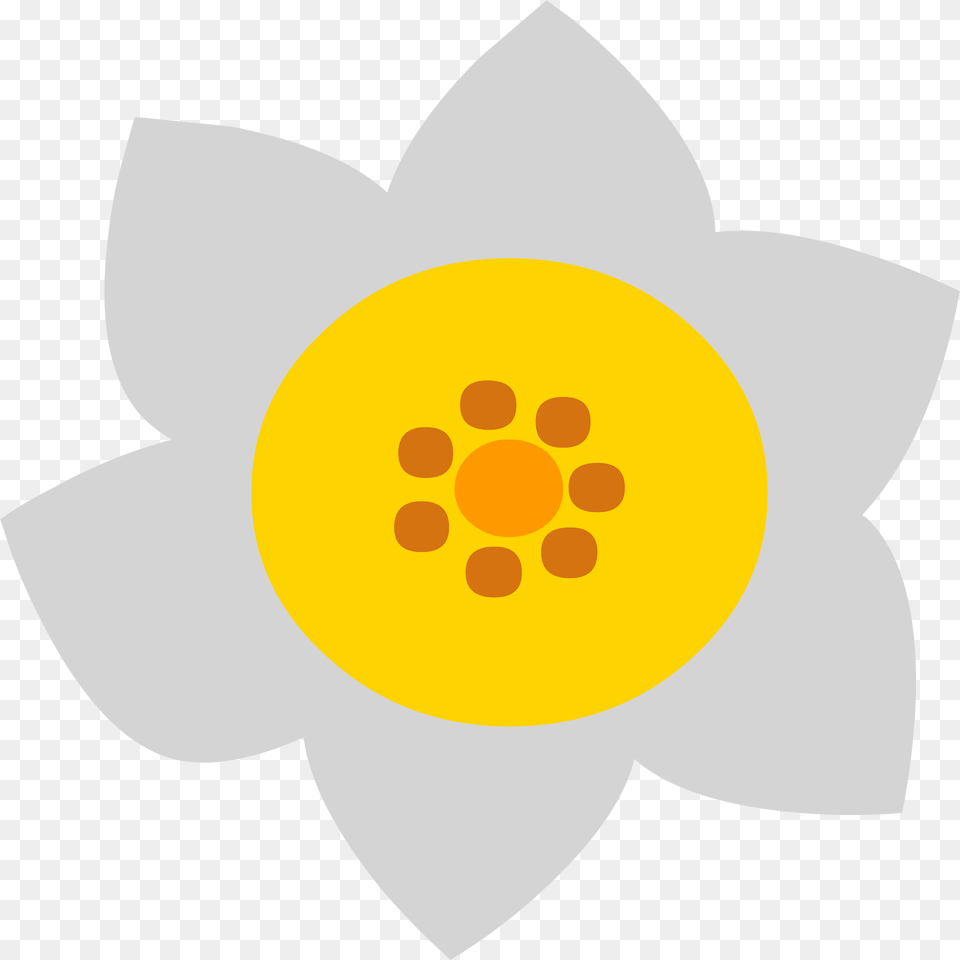 Flower Clipart, Daffodil, Plant Free Png