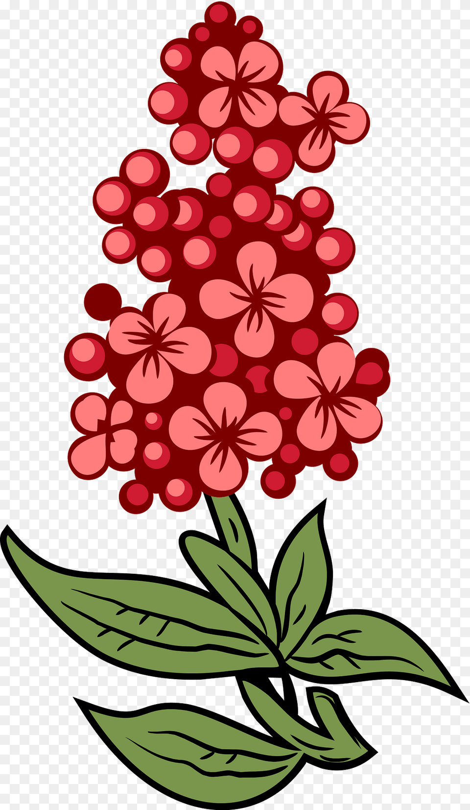 Flower Clipart, Plant, Graphics, Art, Pattern Free Png Download