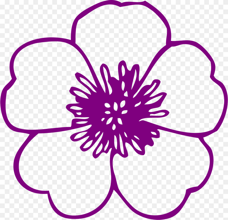 Flower Clipart, Anemone, Plant, Pattern, Graphics Png