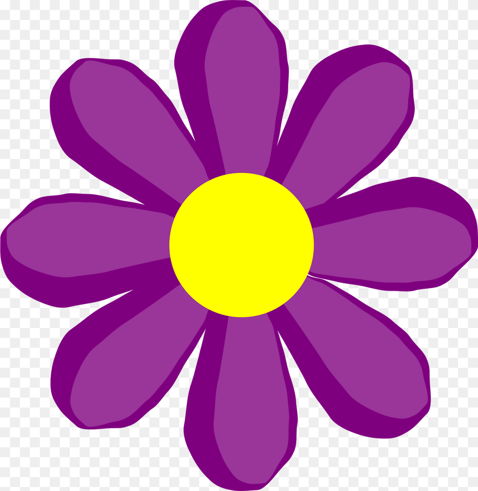 Flower Clipart, Anemone, Daisy, Plant, Purple Png Image