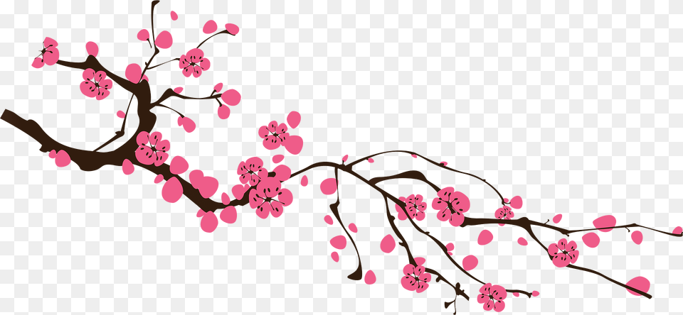 Flower Clipart, Plant, Cherry Blossom, Food, Fruit Png