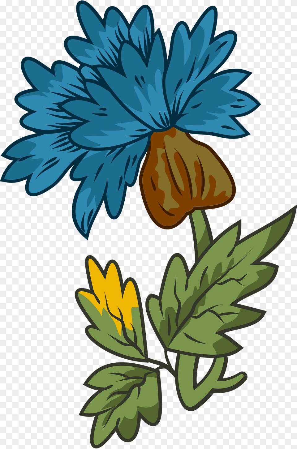Flower Clipart, Art, Graphics, Plant, Daisy Png