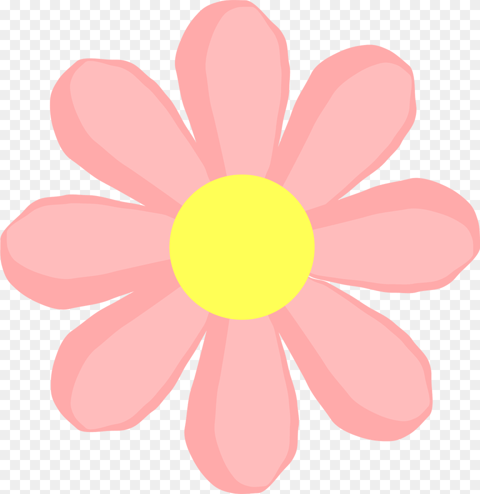 Flower Clipart, Anemone, Daisy, Petal, Plant Free Transparent Png