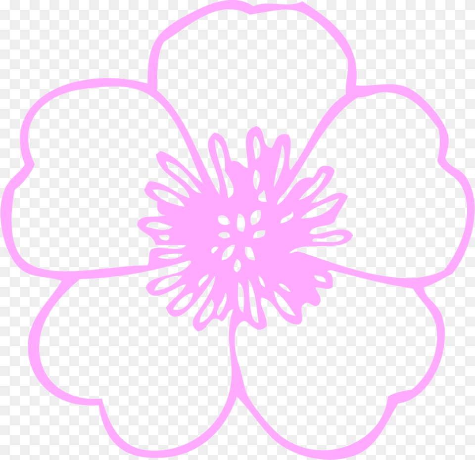 Flower Clipart, Anemone, Anther, Dahlia, Plant Png
