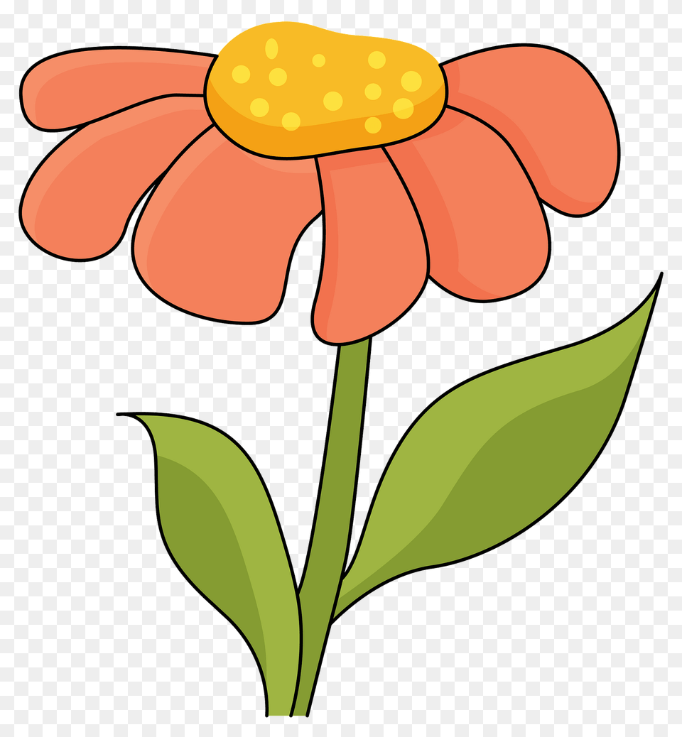 Flower Clipart, Daisy, Petal, Plant, Anther Png