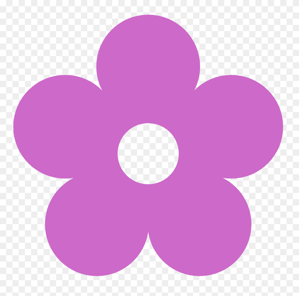 Flower Clipart, Purple, Anemone, Daisy, Plant Png Image