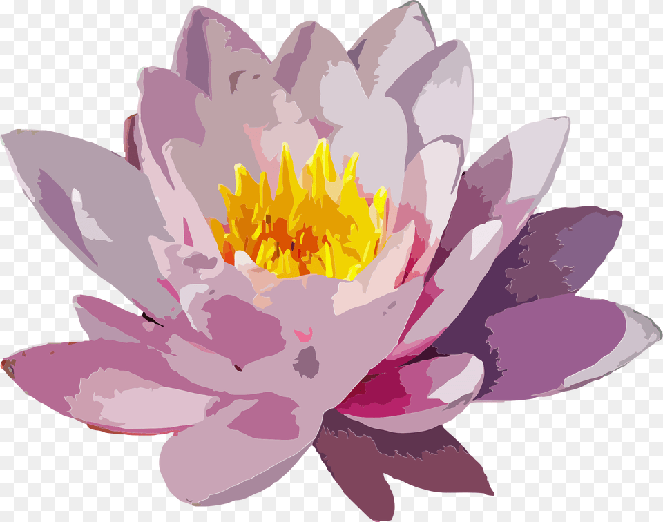 Flower Clipart, Plant, Lily, Pond Lily, Petal Free Png