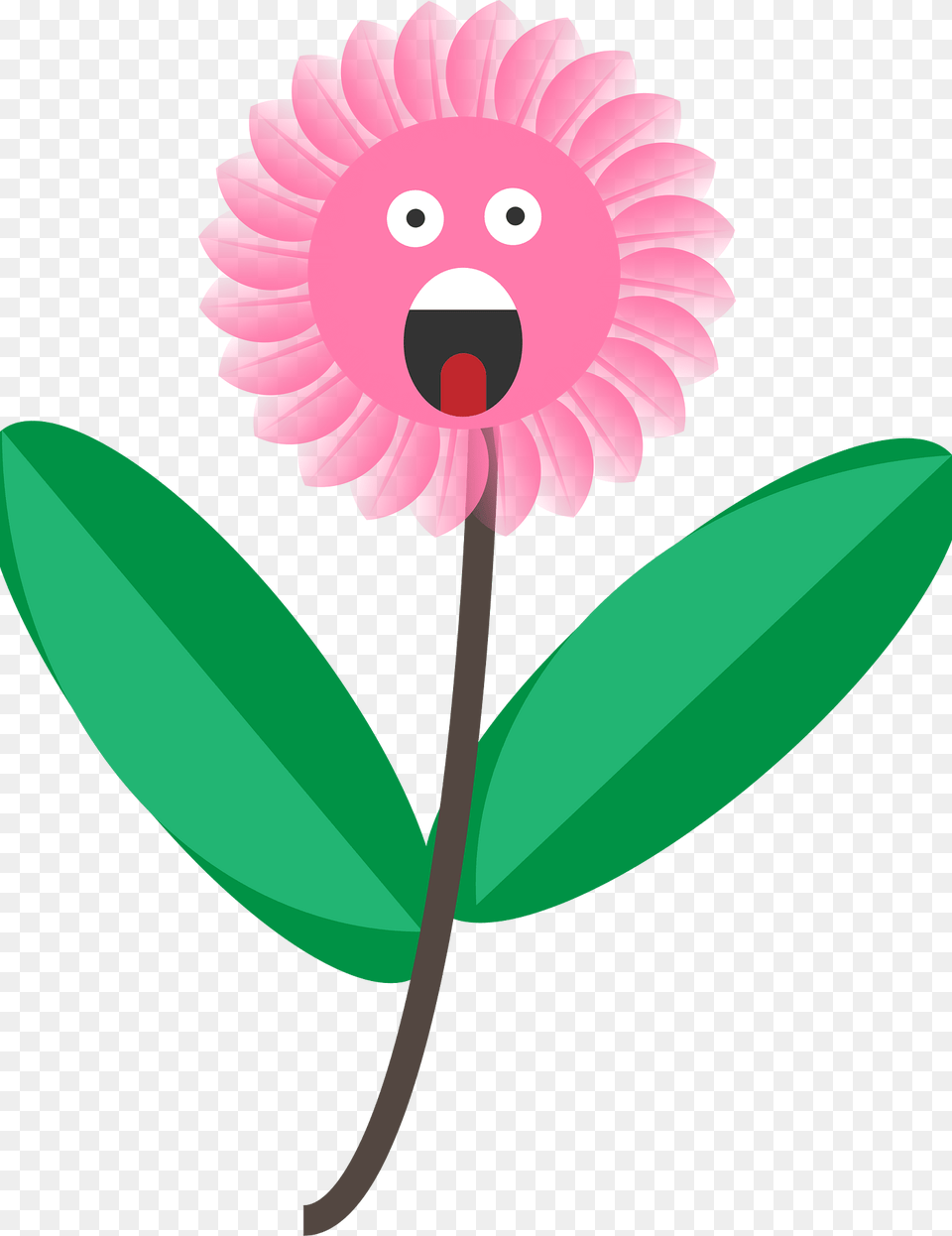 Flower Clipart, Dahlia, Petal, Plant, Carnation Png