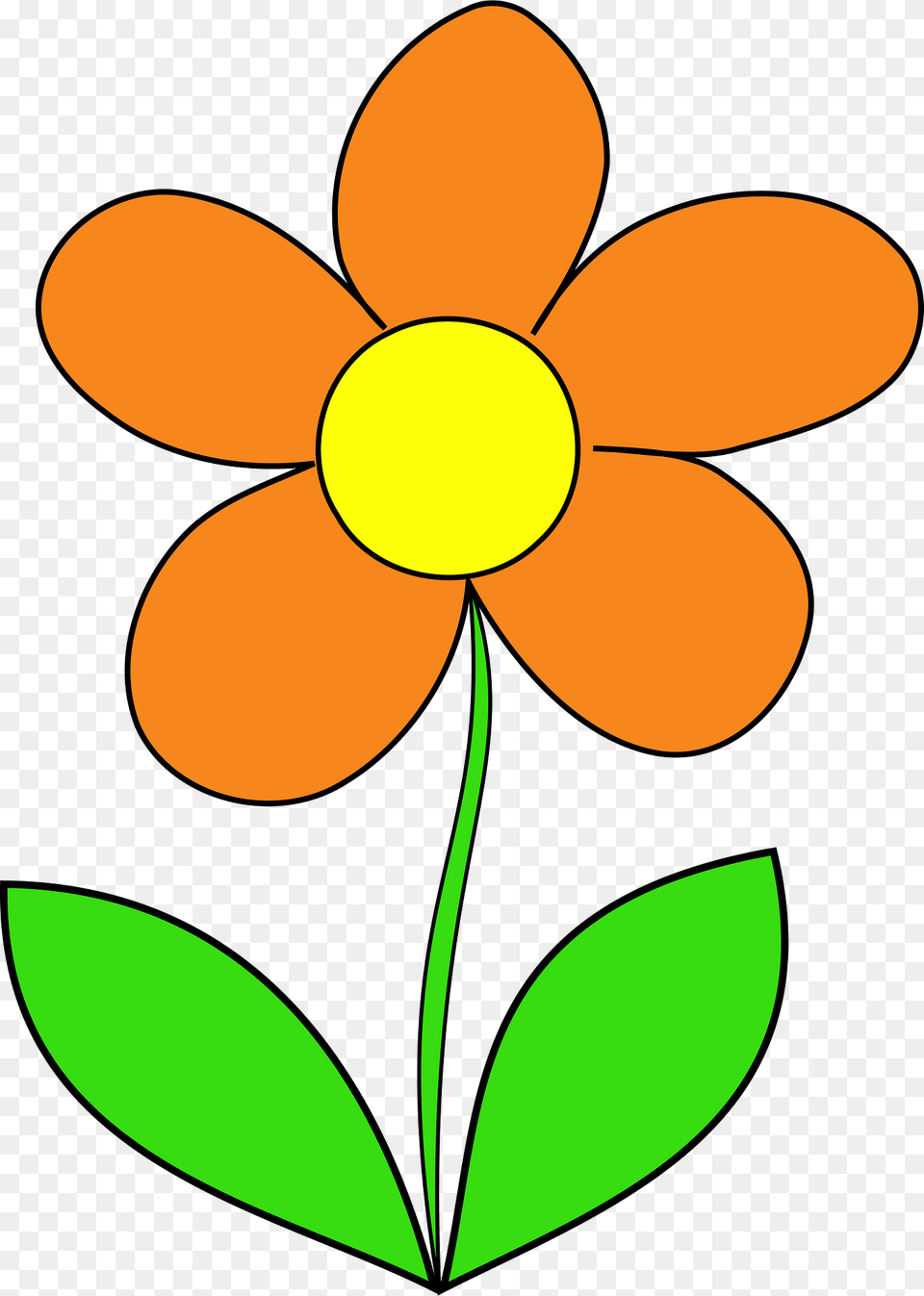 Flower Clipart, Daisy, Petal, Plant, Anemone Png Image