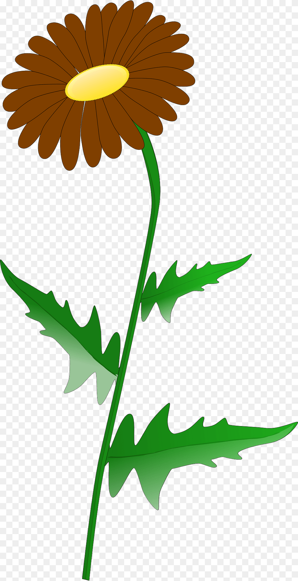 Flower Clipart, Daisy, Plant Free Png Download