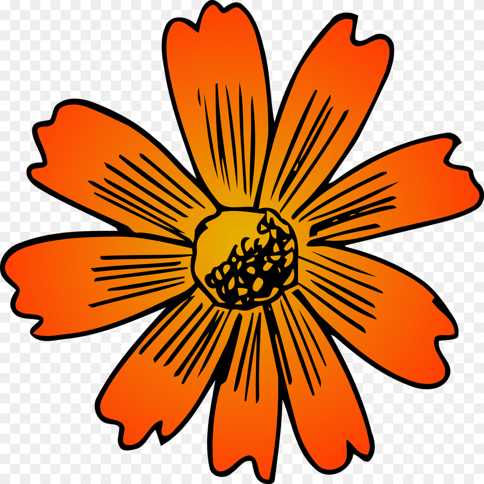 Flower Clipart, Anther, Daisy, Petal, Plant Free Png