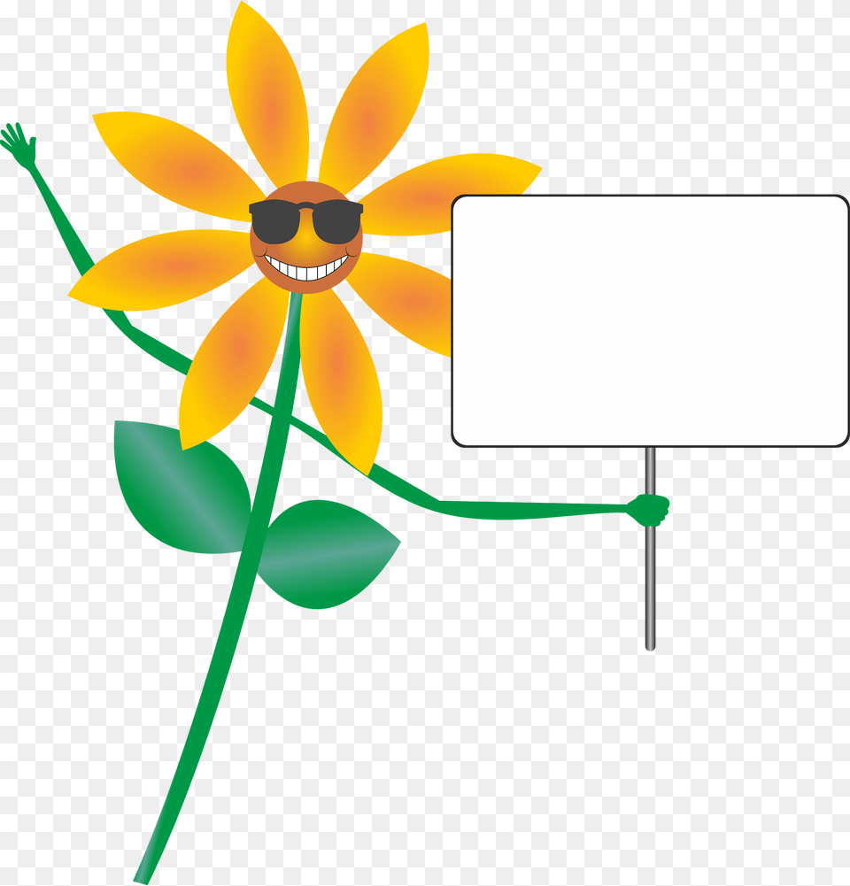 Flower Clipart, Anther, Daisy, Petal, Plant Png Image