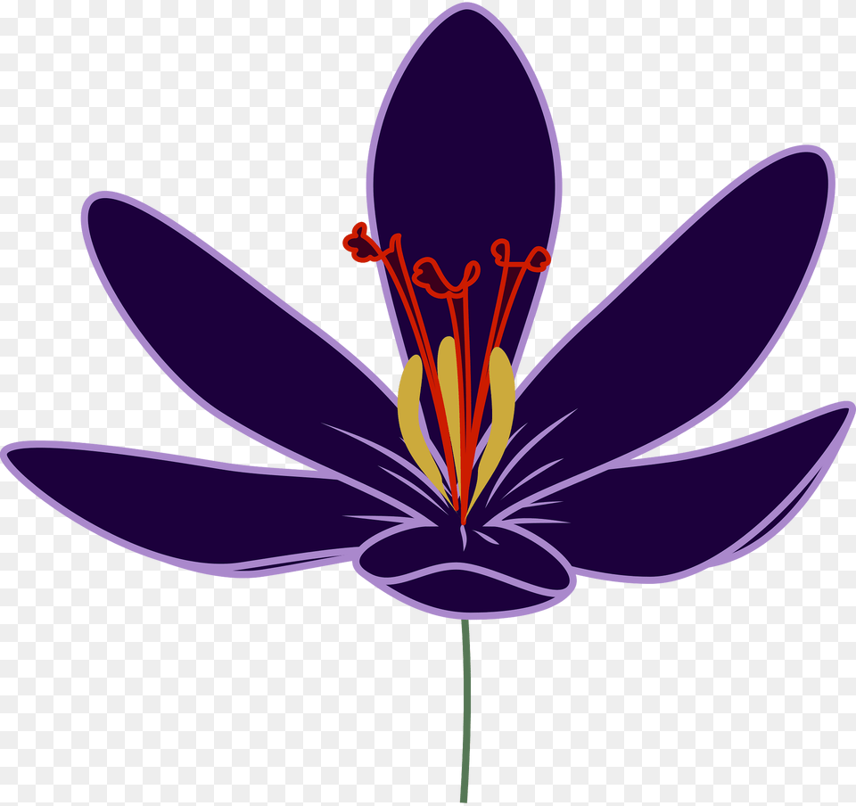 Flower Clipart, Anther, Plant, Petal, Sea Life Free Transparent Png