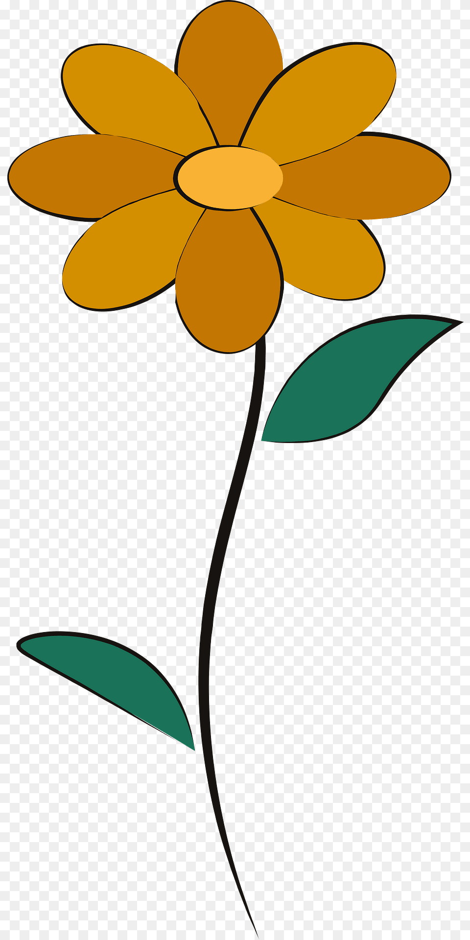 Flower Clipart, Daisy, Petal, Plant, Cross Free Png Download