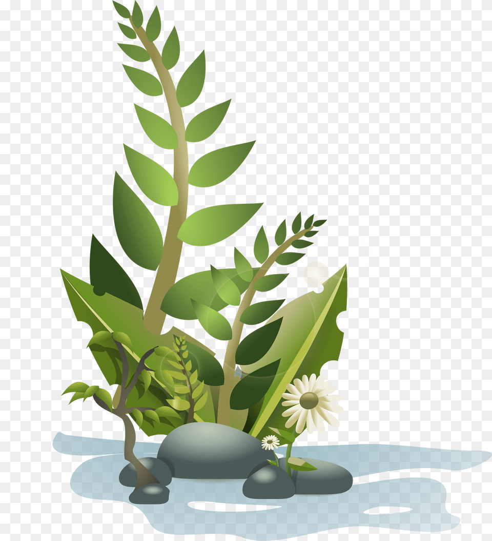 Flower Clipart, Art, Pattern, Green, Graphics Free Png Download