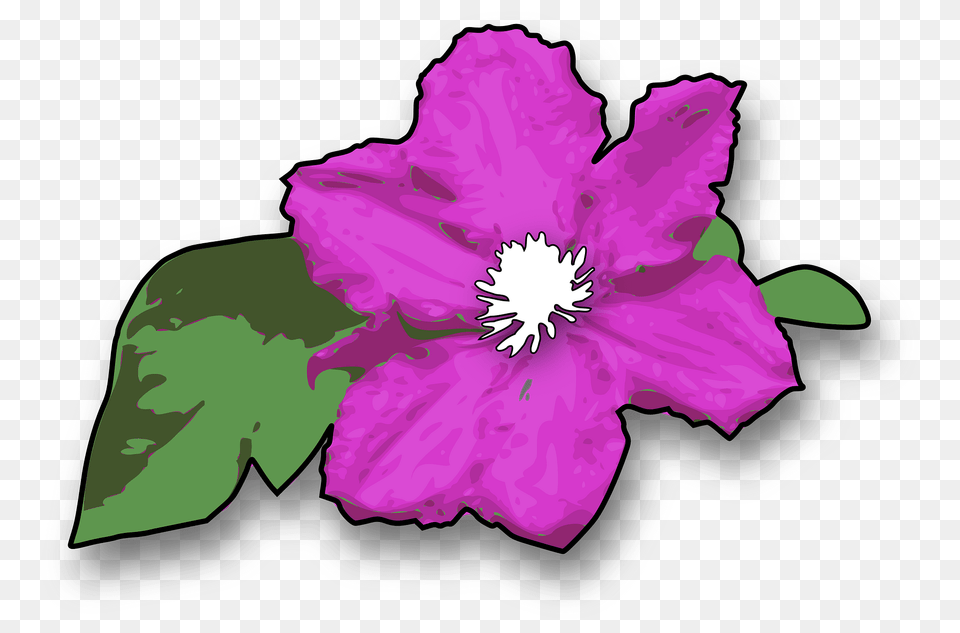 Flower Clipart, Purple, Plant, Anemone, Geranium Free Transparent Png