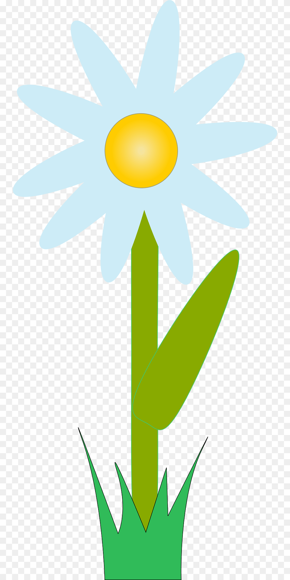 Flower Clipart, Daisy, Plant, Animal, Fish Png