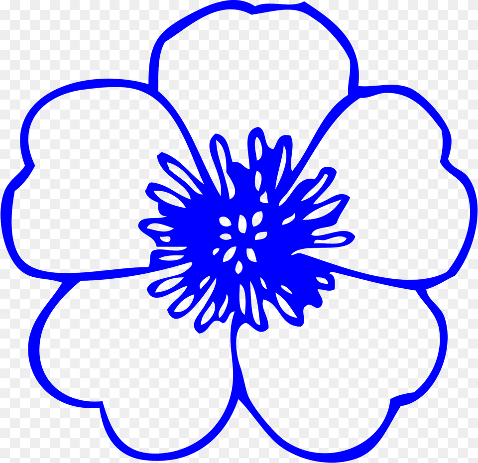 Flower Clipart, Anemone, Plant, Anther, Dahlia Png