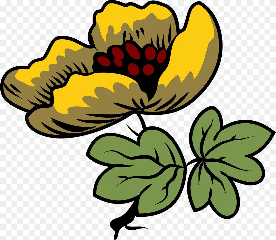 Flower Clipart, Pattern, Plant, Art, Graphics Png Image