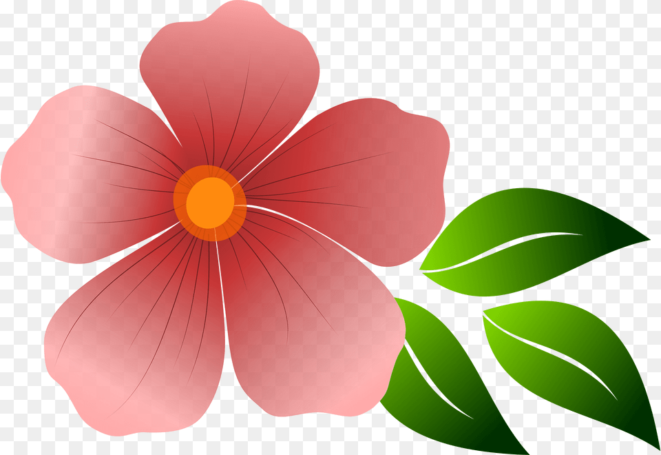Flower Clipart, Plant, Petal, Hibiscus, Anemone Free Png Download