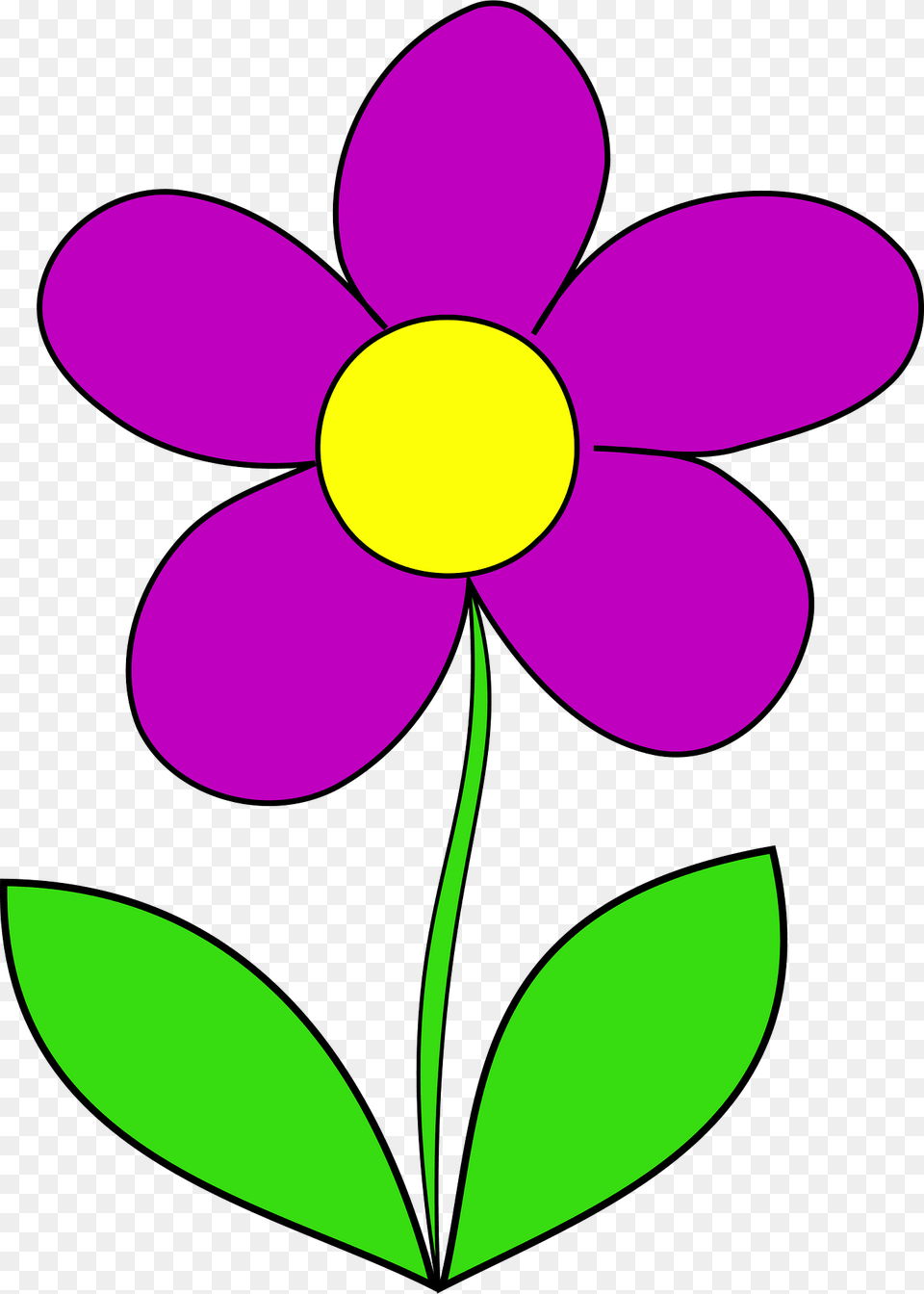 Flower Clipart, Anemone, Daisy, Petal, Plant Free Transparent Png