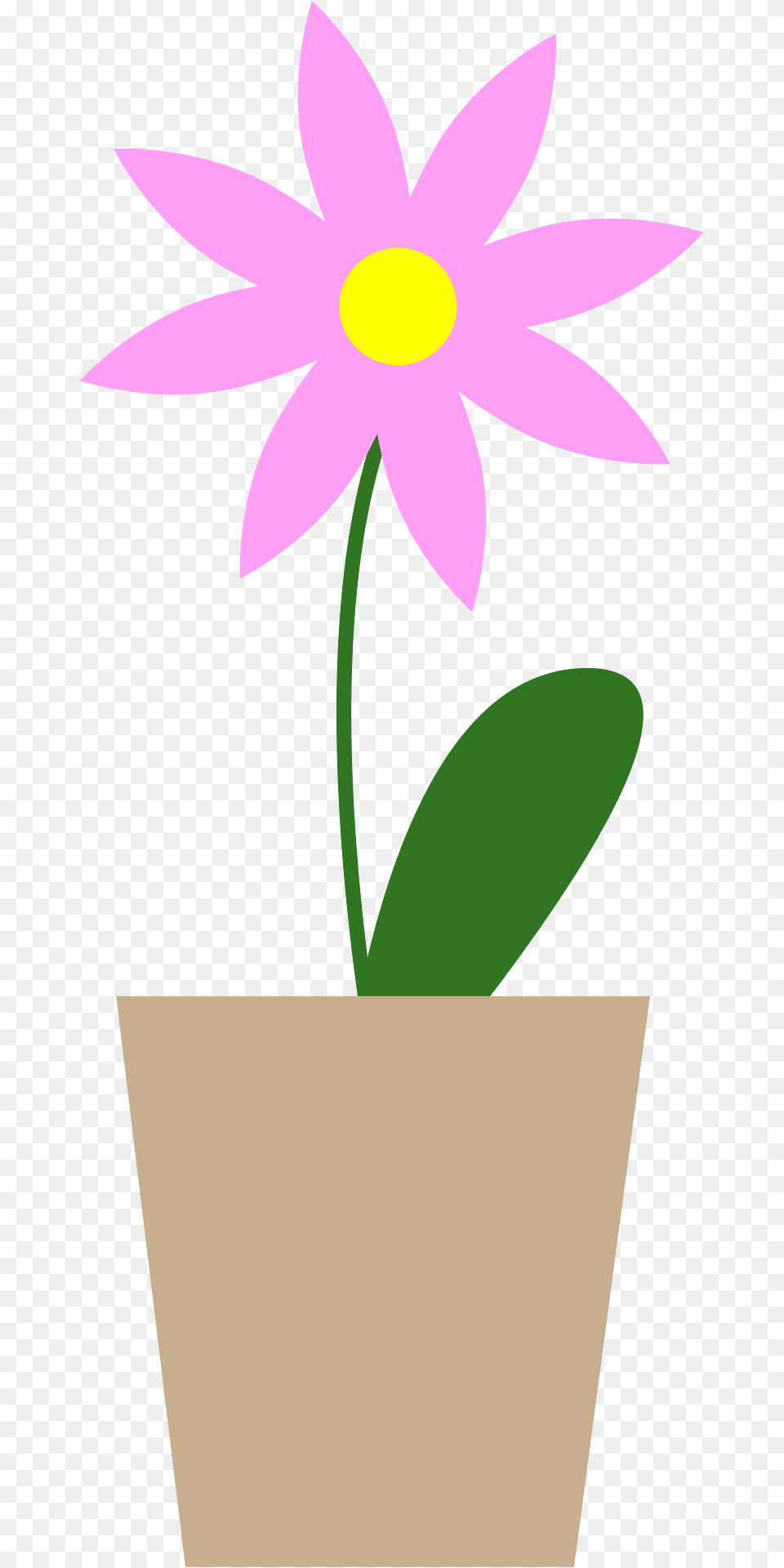 Flower Clipart, Daisy, Petal, Plant, Potted Plant Free Png Download