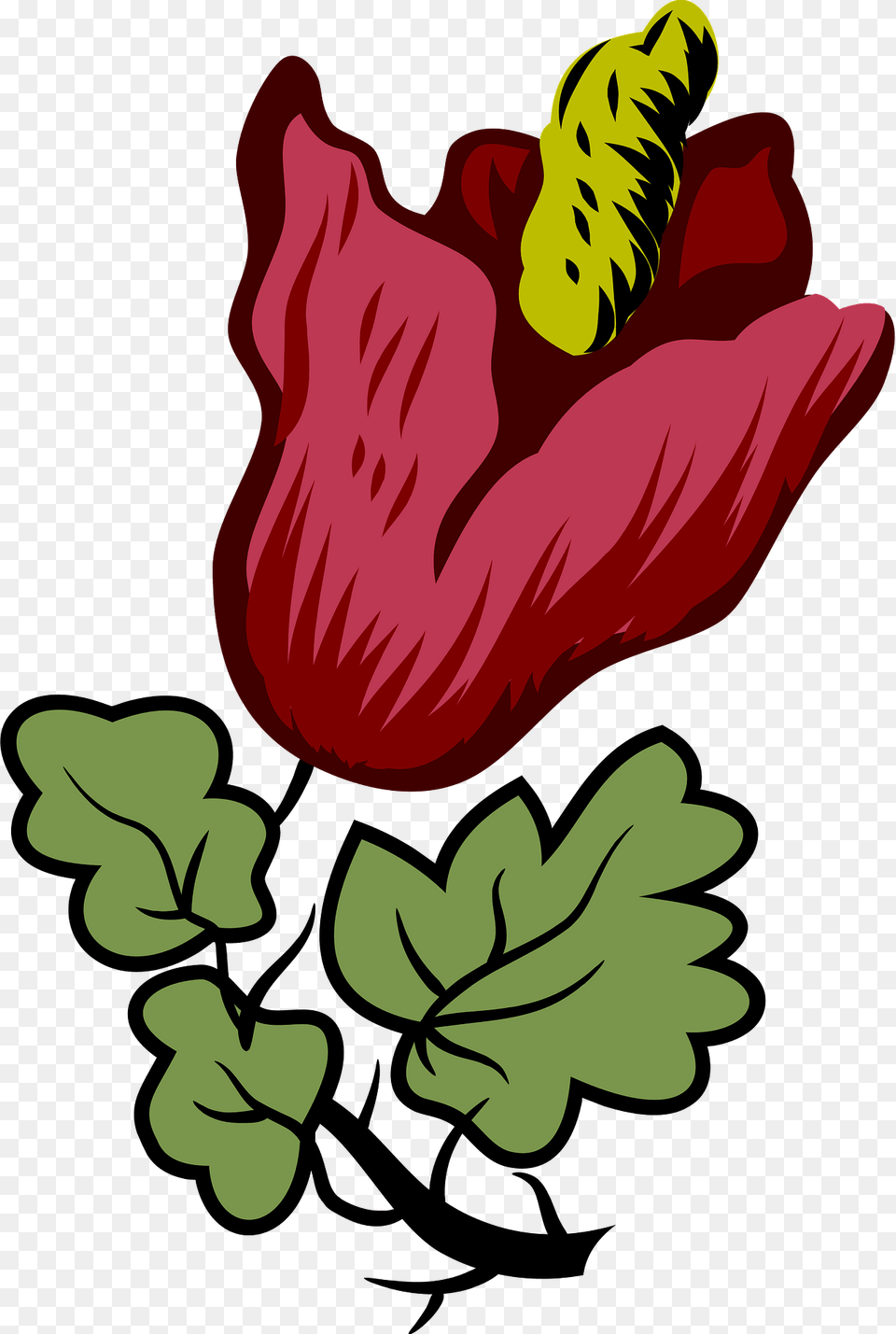 Flower Clipart, Plant Png Image