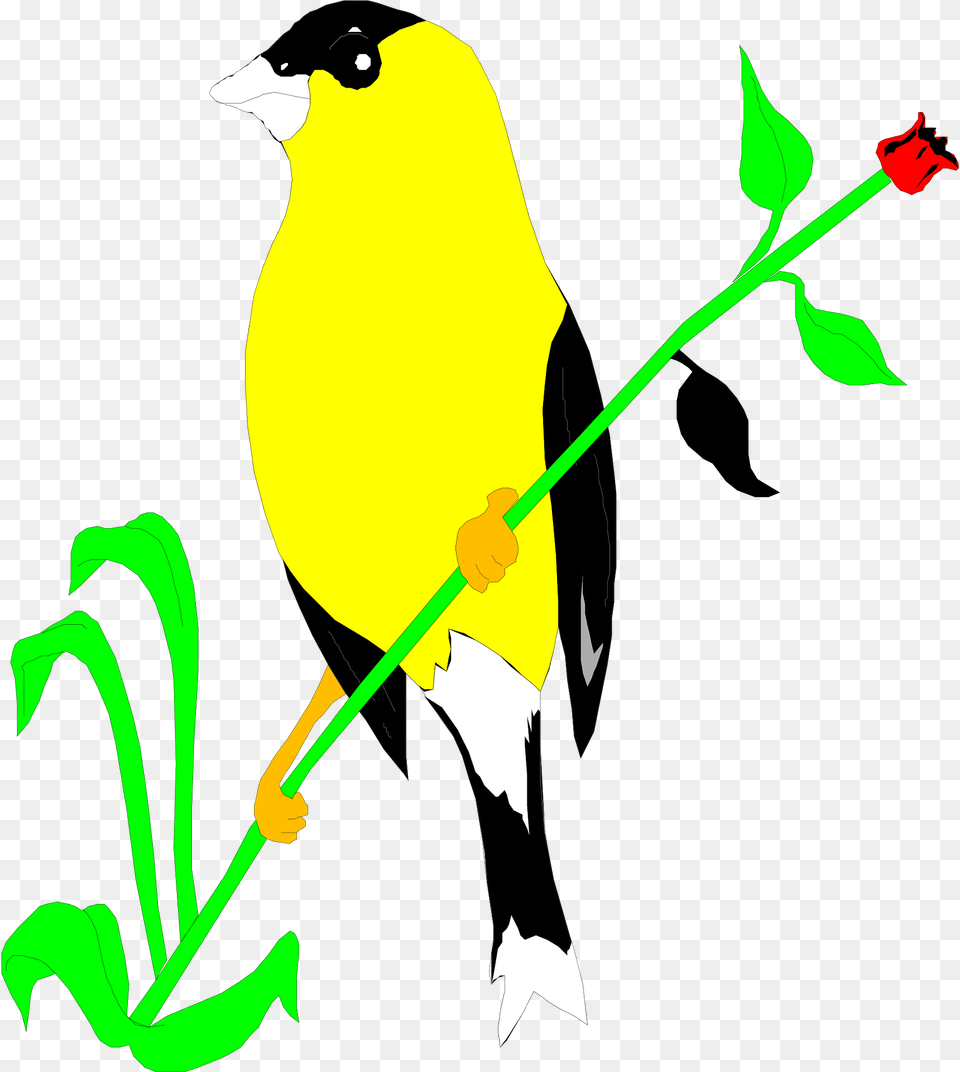 Flower Clipart, Animal, Bird, Finch, Canary Png Image