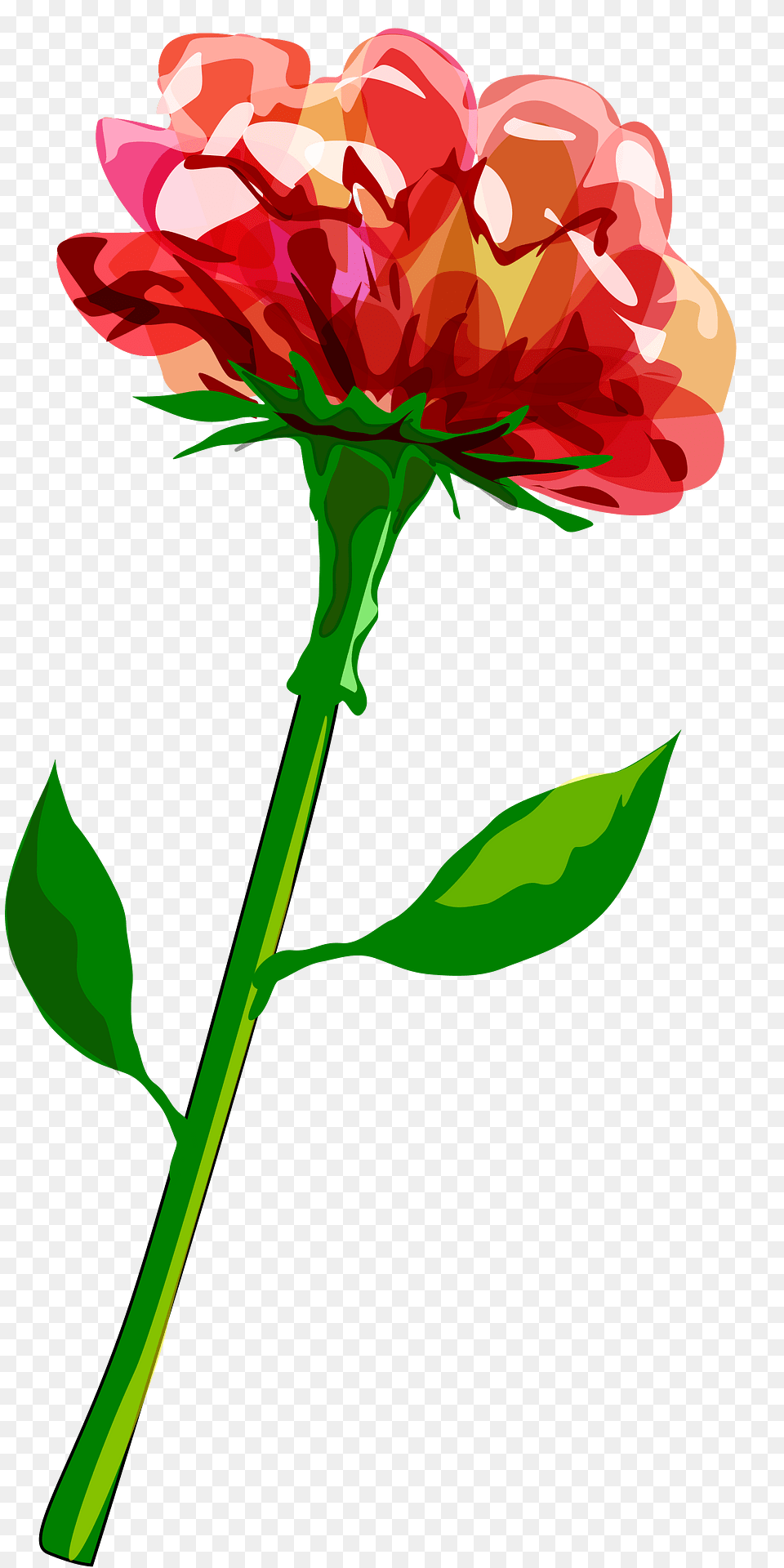 Flower Clipart, Dahlia, Geranium, Plant, Carnation Png Image