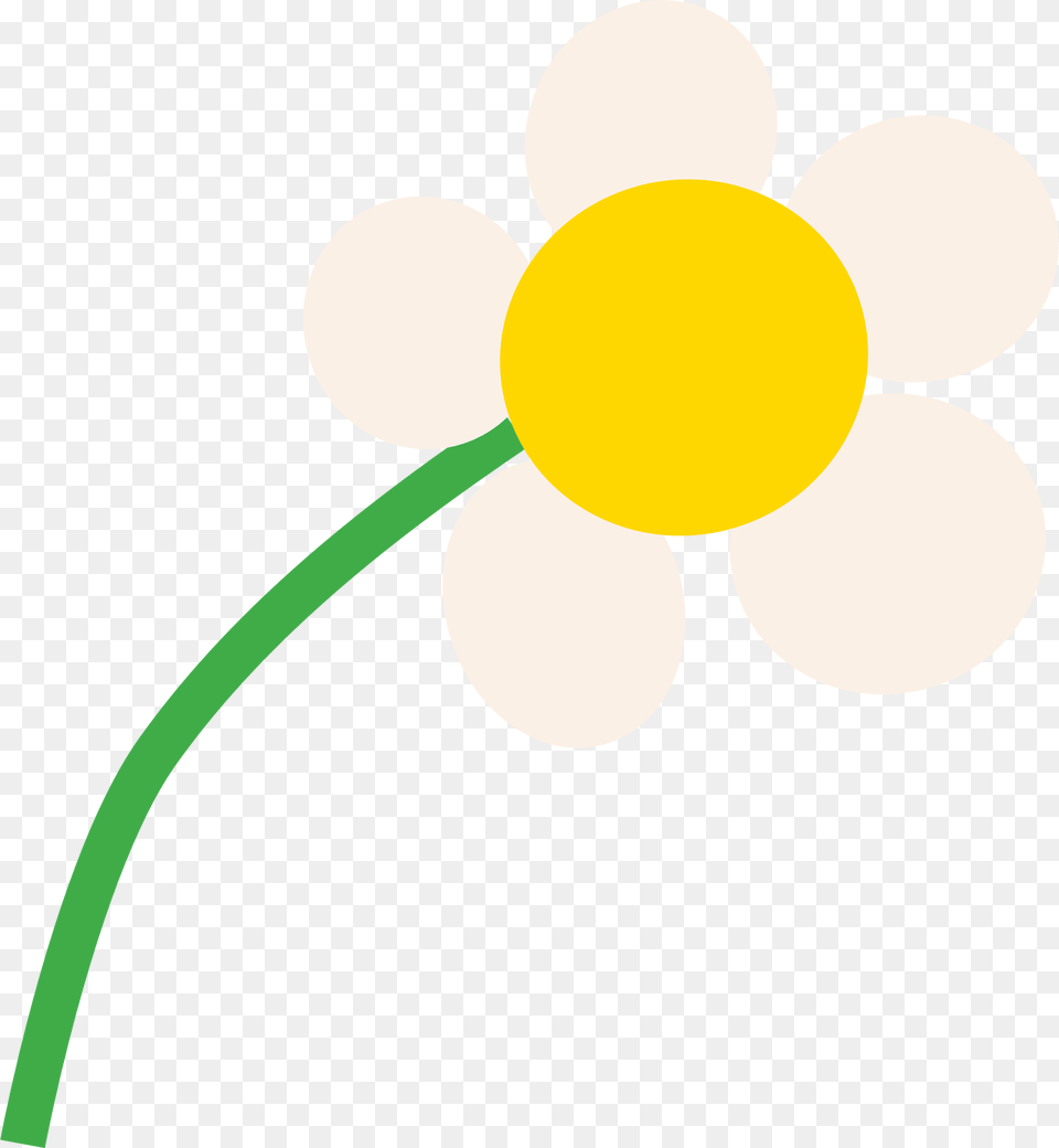 Flower Clipart, Anemone, Daisy, Plant, Petal Free Png Download
